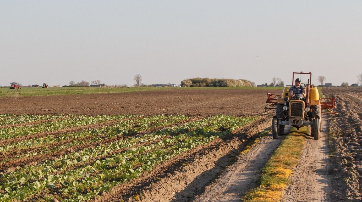 Climate Change and Indian Agriculture: Rewriting the Agrarian Compact - Agribusiness article