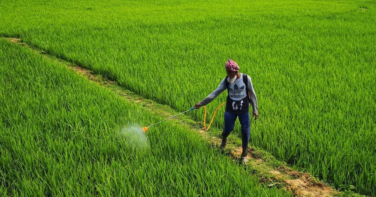 Maximum Residue Limits and India's Export Competitiveness